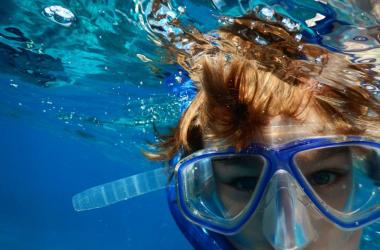 Image of Snorkelling & Diving