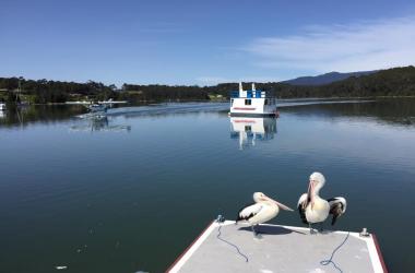 Image of South Coast Sea Planes